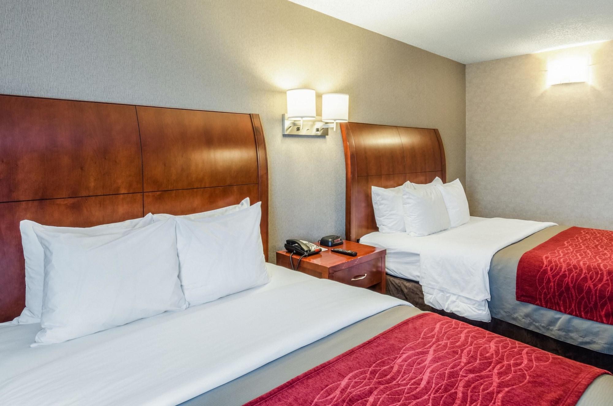 Comfort Inn & Suites West Springfield Dış mekan fotoğraf