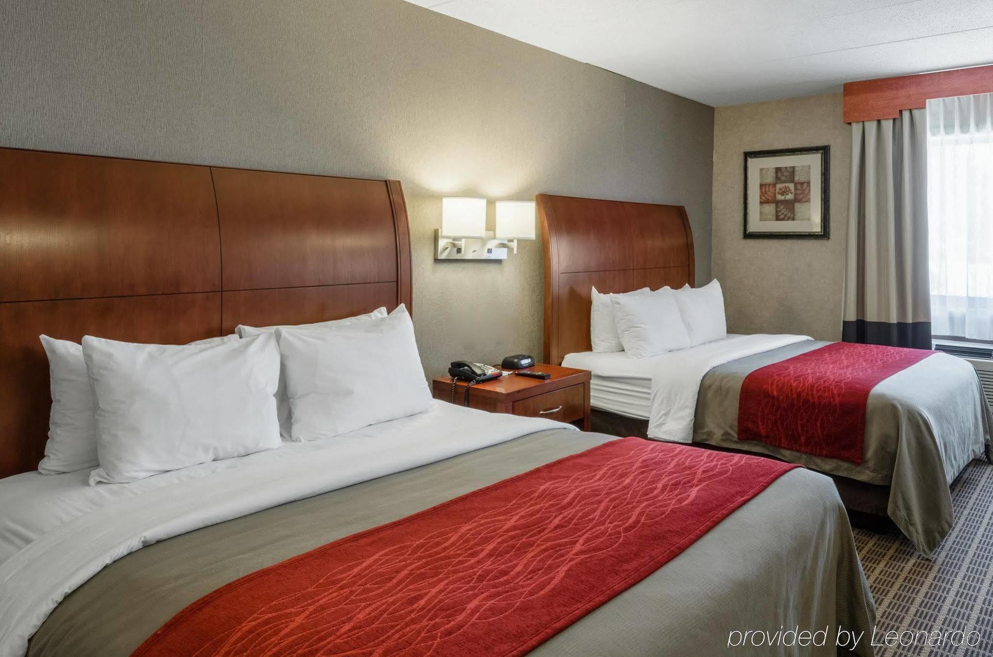 Comfort Inn & Suites West Springfield Dış mekan fotoğraf